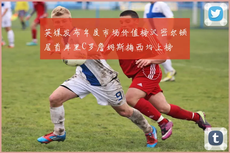 英媒发布年度市场价值榜汉密尔顿居首库里C罗詹姆斯梅西均上榜