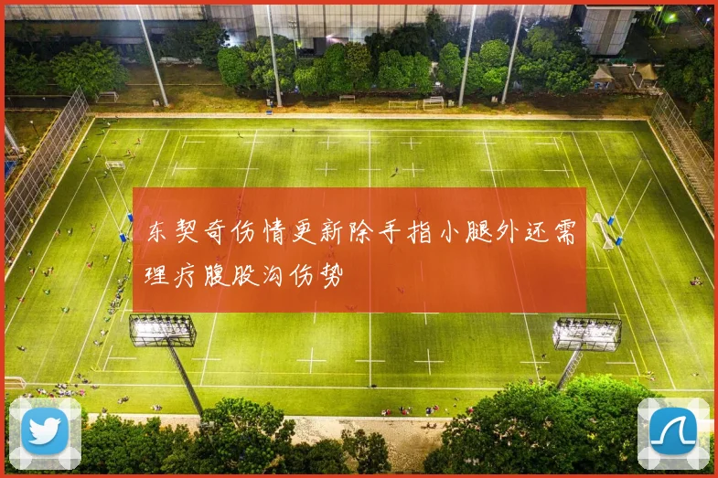 东契奇伤情更新除手指小腿外还需理疗腹股沟伤势