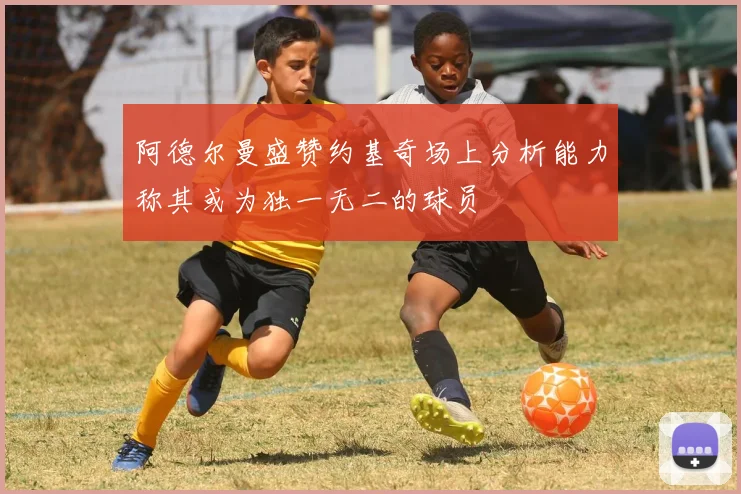 阿德尔曼盛赞约基奇场上分析能力称其或为独一无二的球员